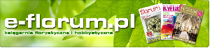 Kody rabatowe do sklepu e-florum.pl Kody rabatowe do sklepu e-florum.pl